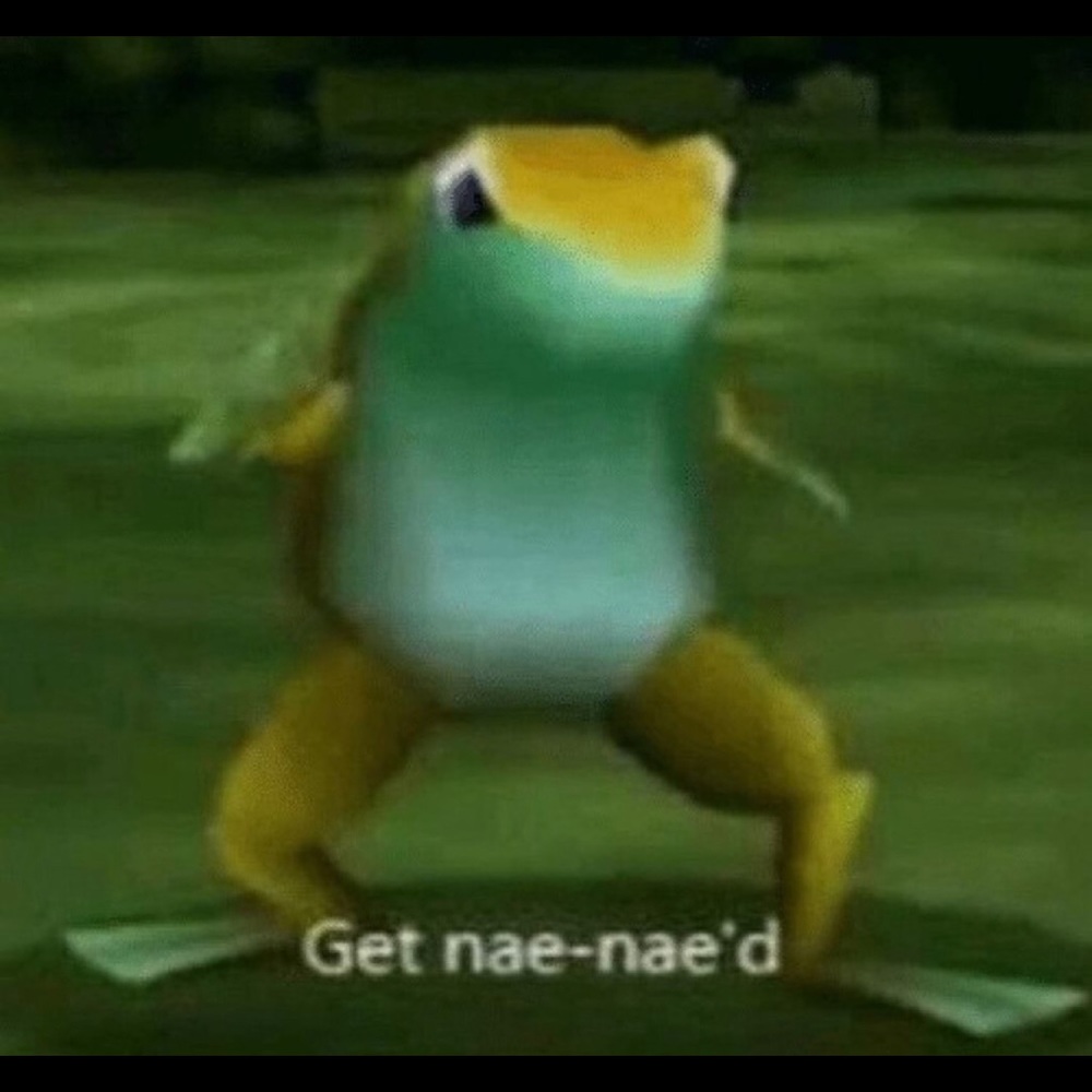 Meet your Posher, Haven